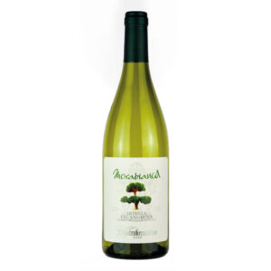 Vino bianco falanghina irpinia Morabianca